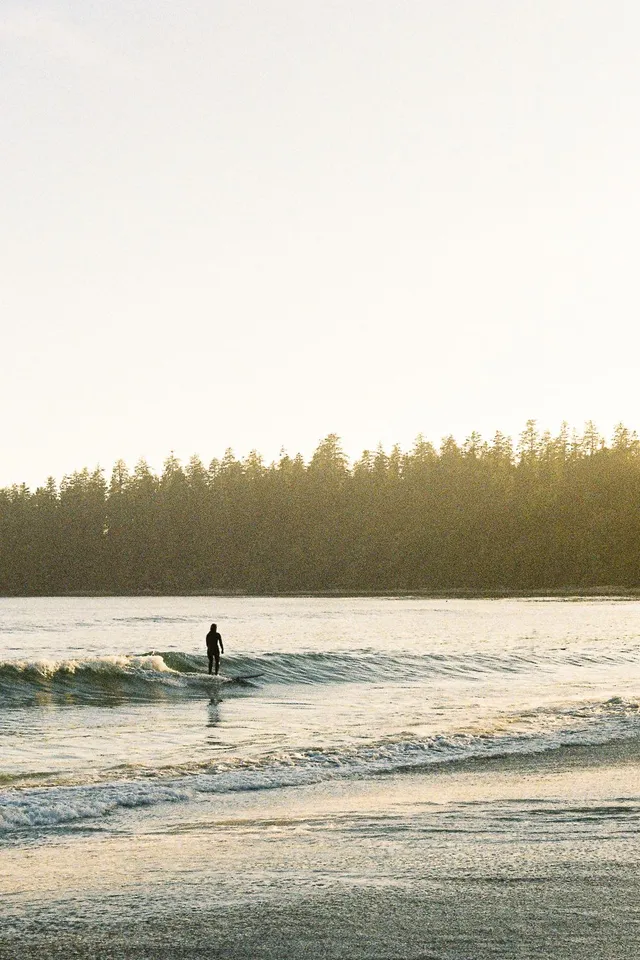 Surfer standing in the shallows below a forested headland