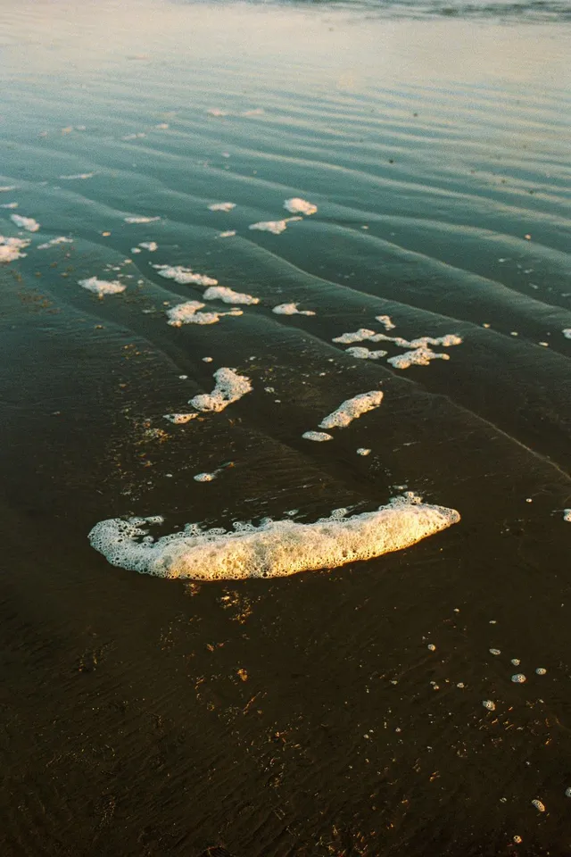 Sea foam and ripples on dark wet sand