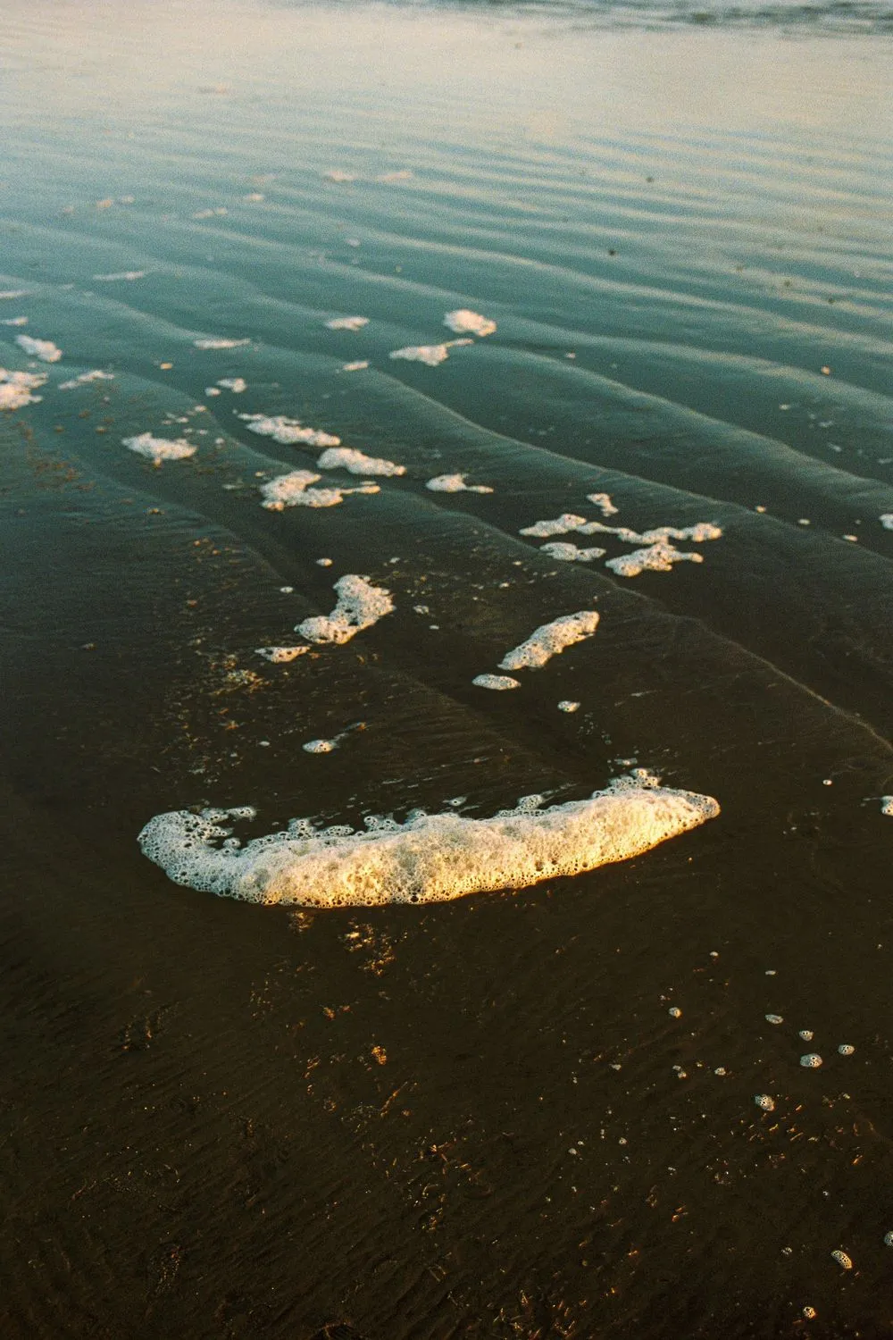 Sea foam and ripples on dark wet sand