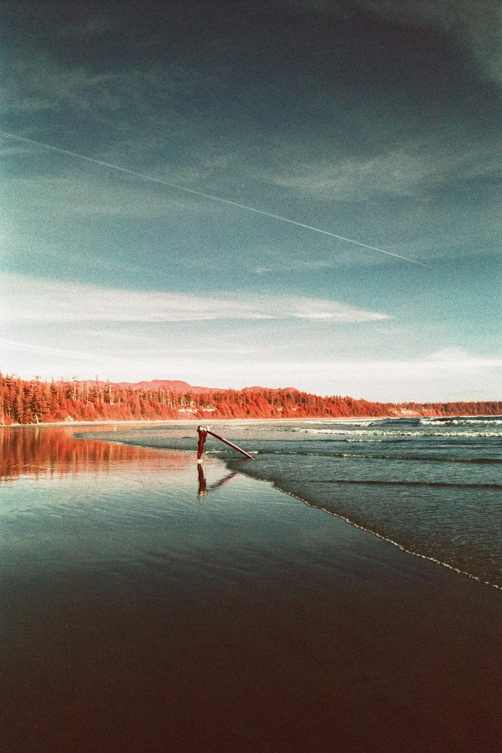 Person walking a surfboard along a beach below a red treeline and streaky sky