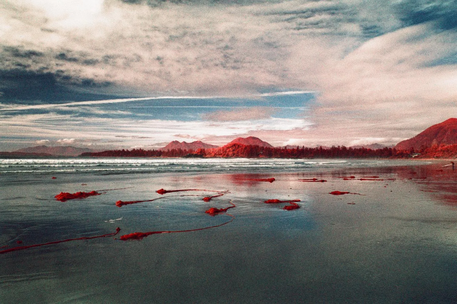Infrared beach with red seaweed on wet sand and red-tinted mountains
