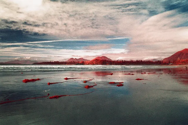 Infrared beach with red seaweed on wet sand and red-tinted mountains