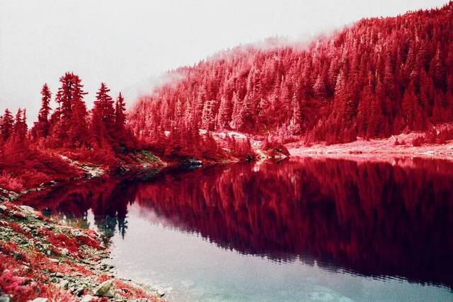 Red infrared forest reflected in a still lake