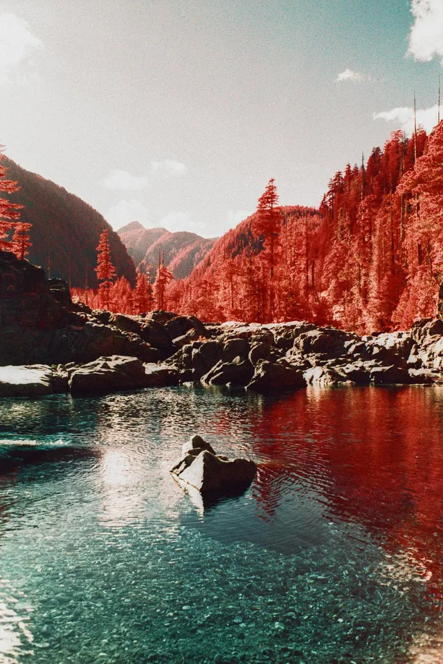 Red-forested canyon with a figure in a clear river pool