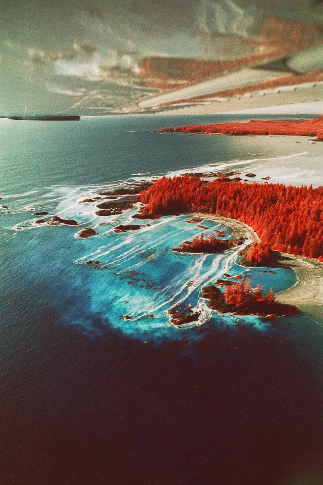 Aerial view of red-forested islands and turquoise surf