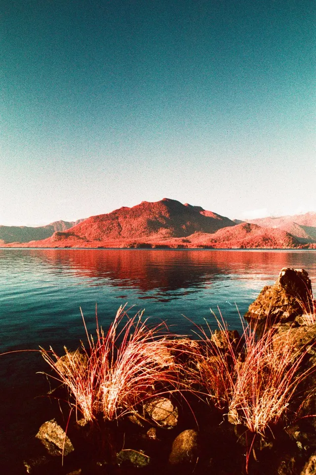 Red grasses and rocks in front of a lake reflecting a red-tinted mountain