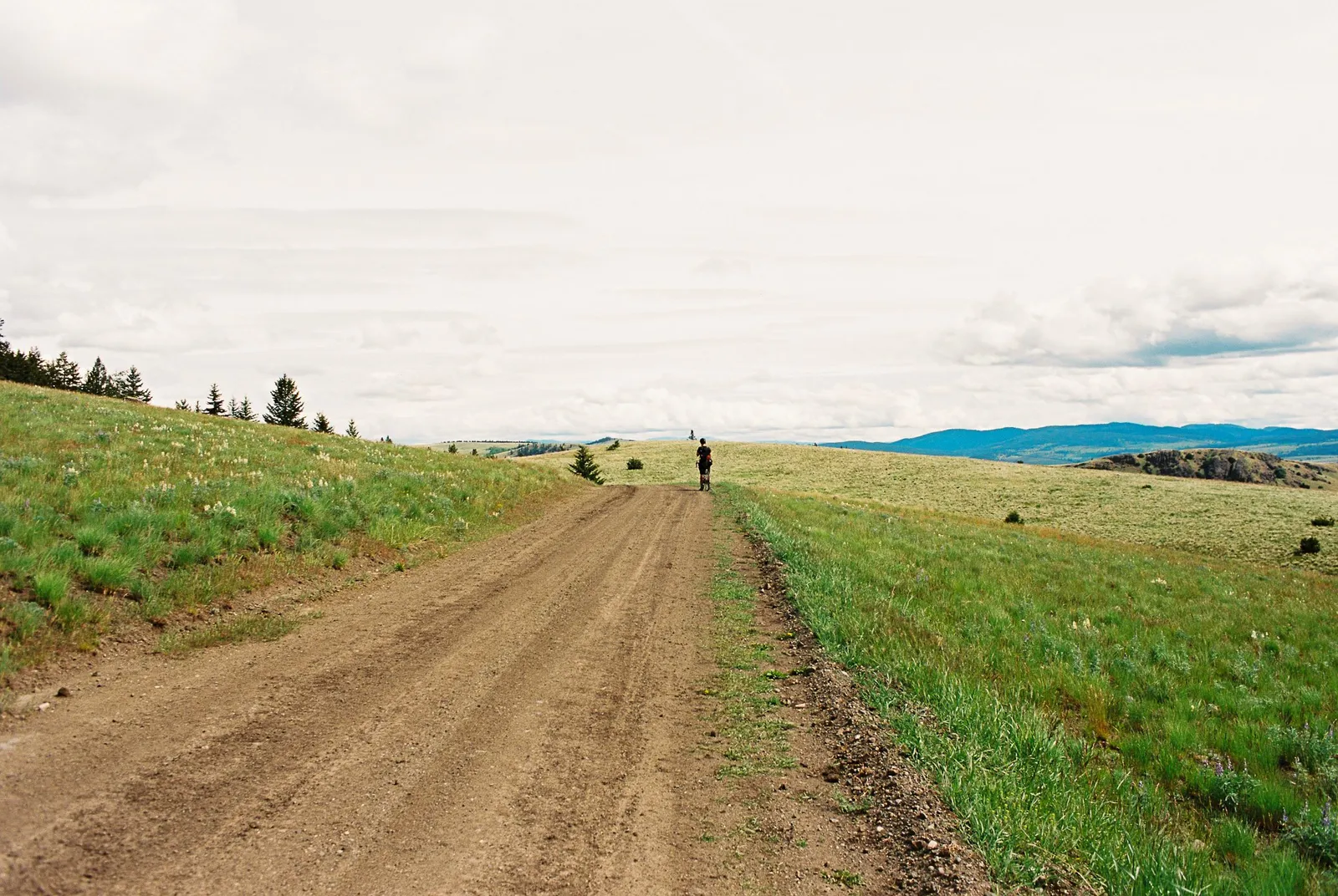 BC Grasslands: frame 24