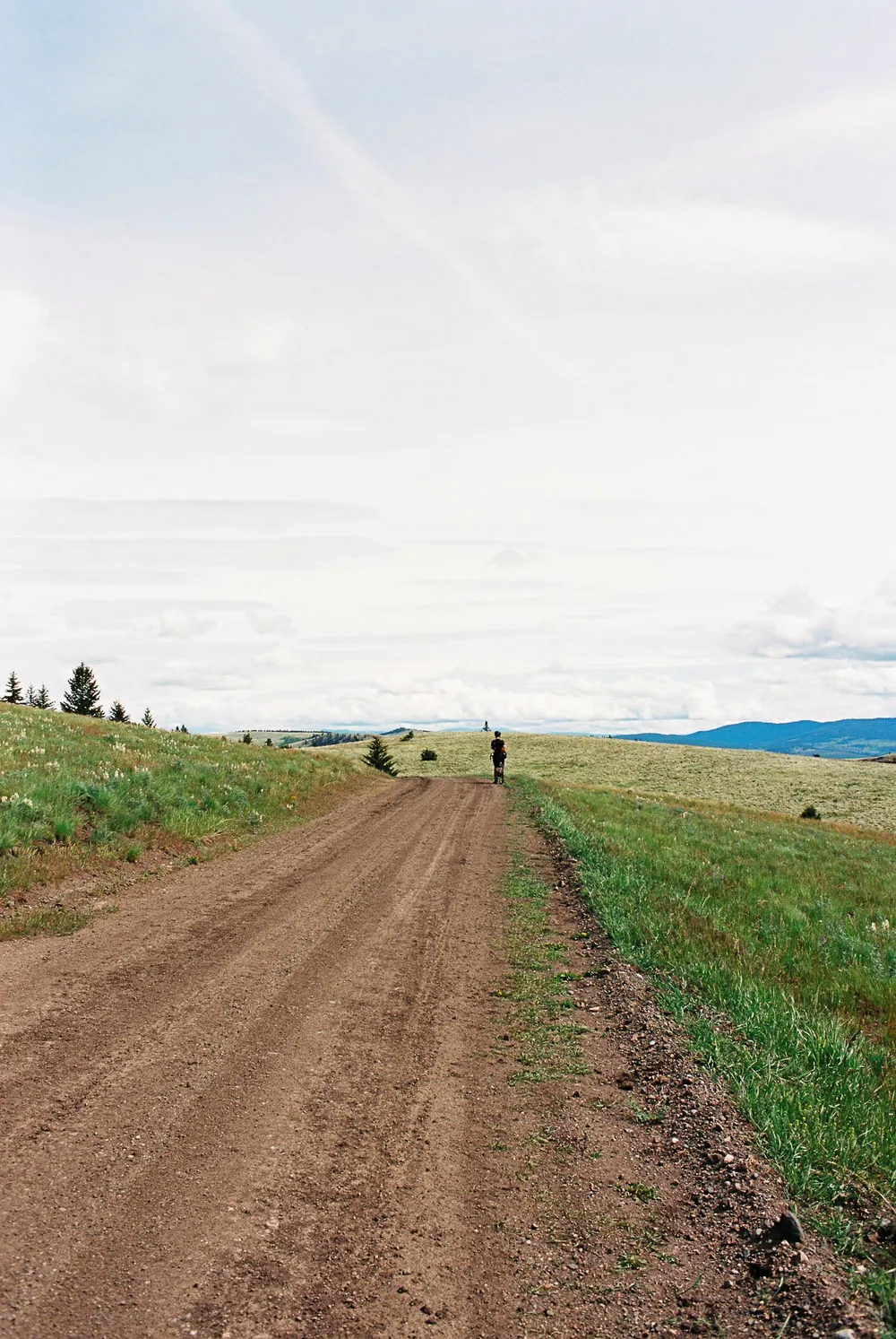 BC Grasslands: frame 25