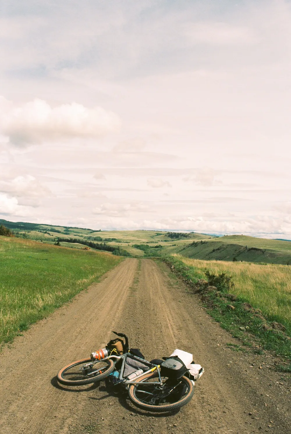 BC Grasslands: frame 28