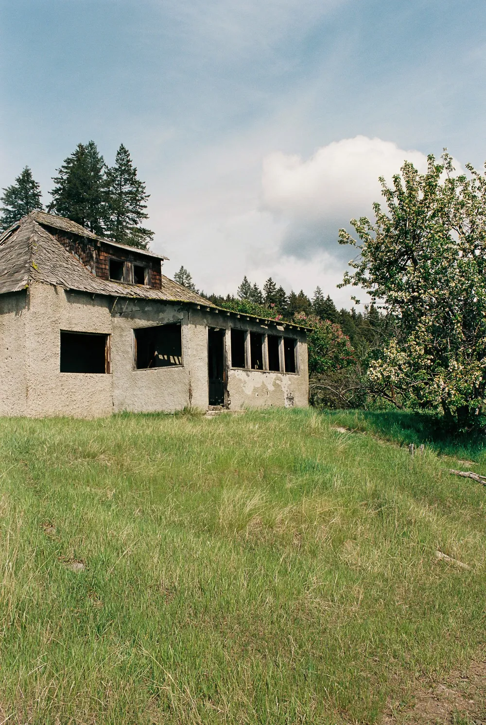BC Grasslands: frame 30