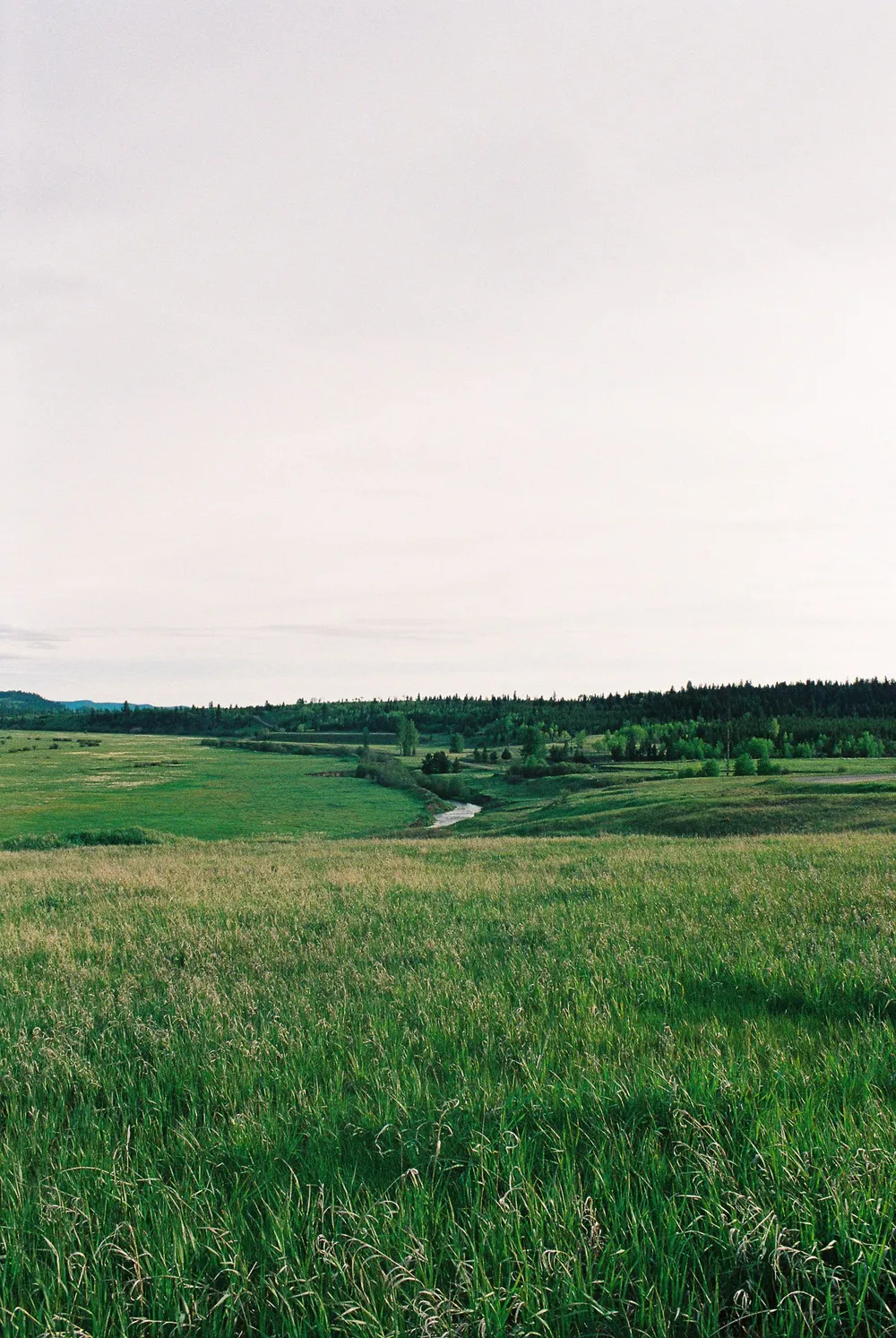 BC Grasslands: frame 10