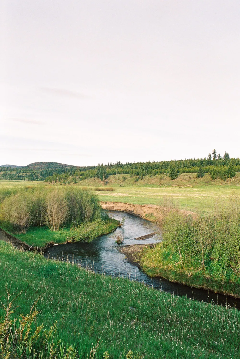 BC Grasslands: frame 11
