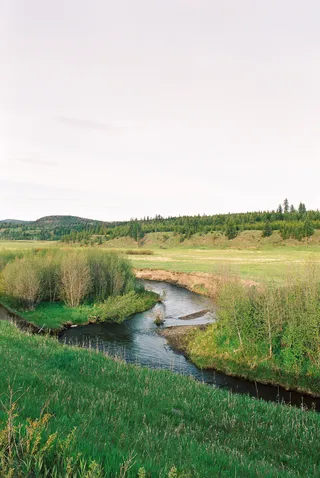 BC Grasslands: frame 11