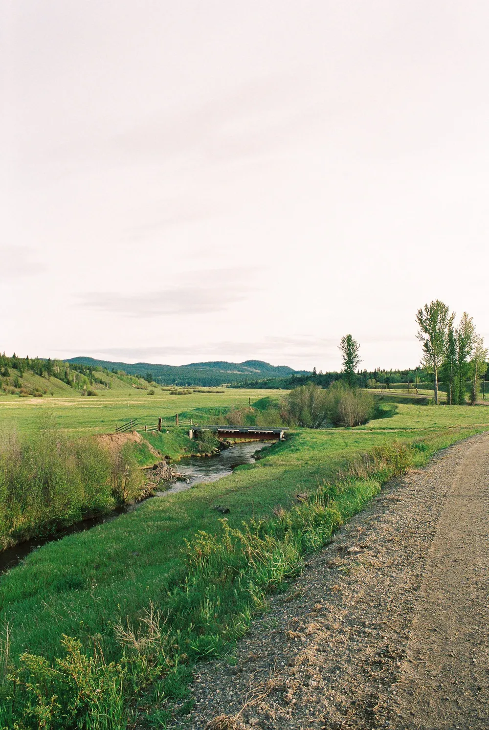 BC Grasslands: frame 13