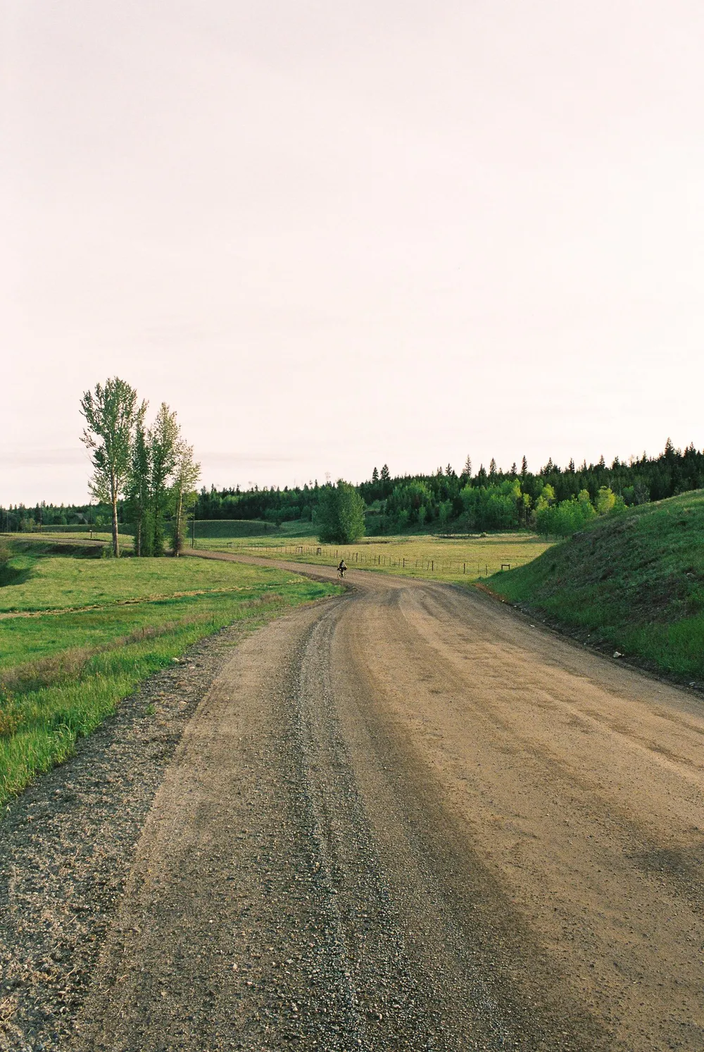 BC Grasslands: frame 14