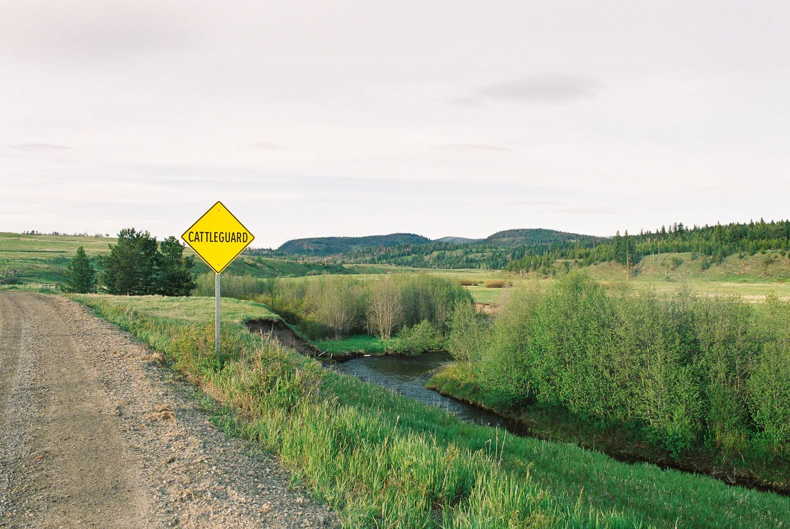 BC Grasslands: frame 15