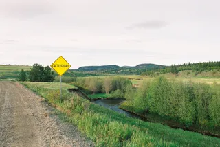 BC Grasslands: frame 15