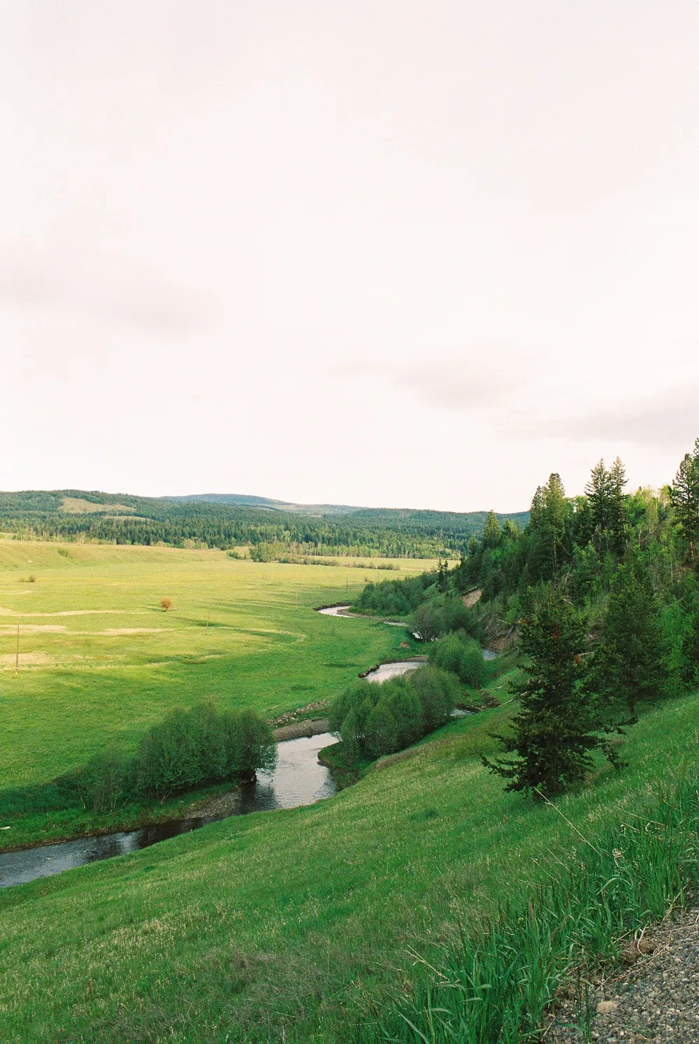 BC Grasslands: frame 16
