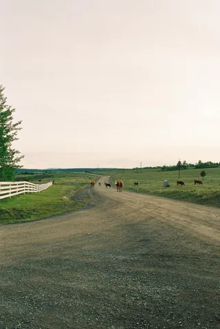 BC Grasslands: frame 17