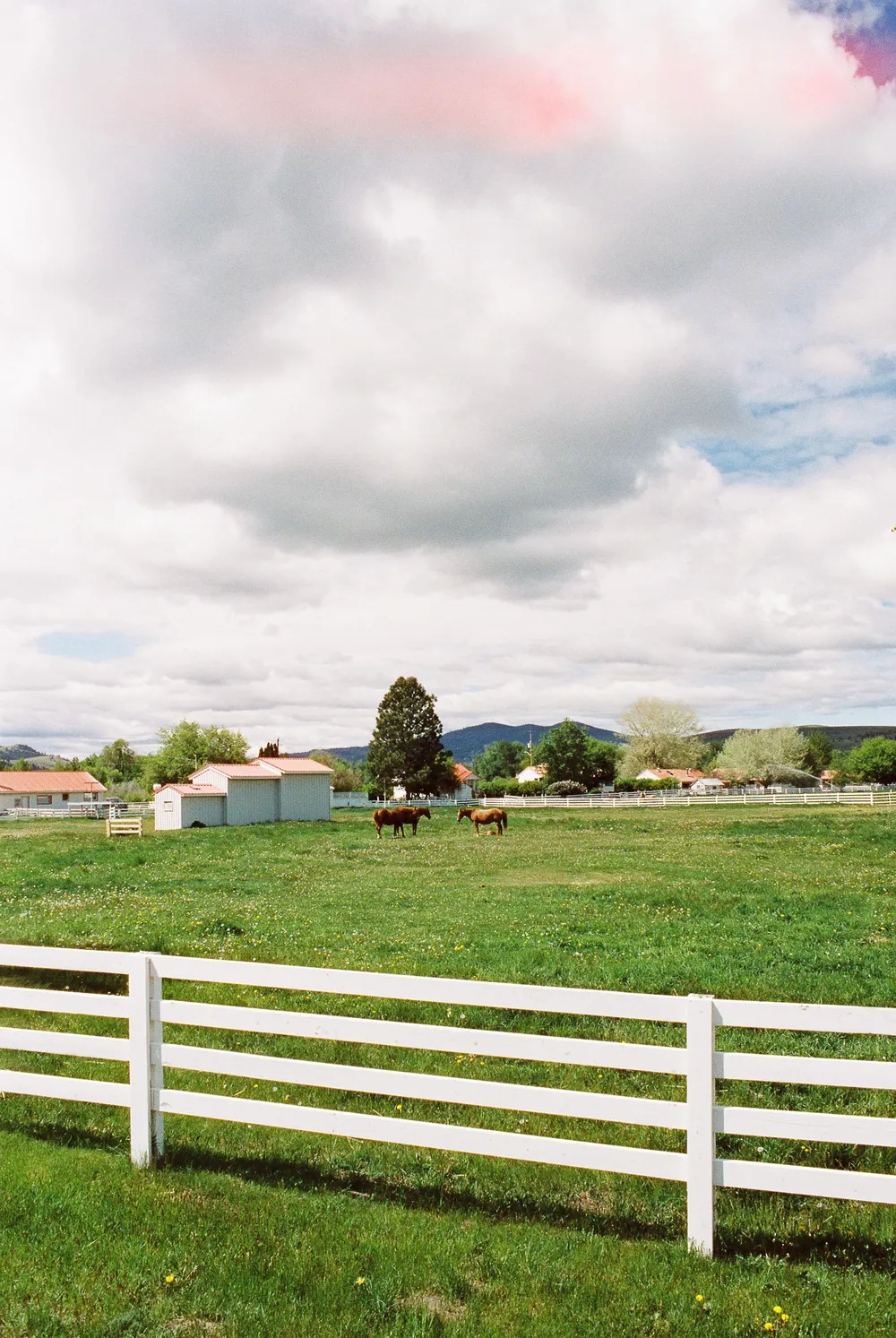 BC Grasslands: frame 6