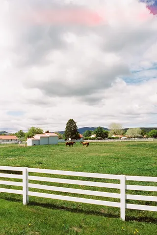 BC Grasslands: frame 6