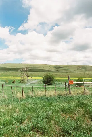 BC Grasslands: frame 16