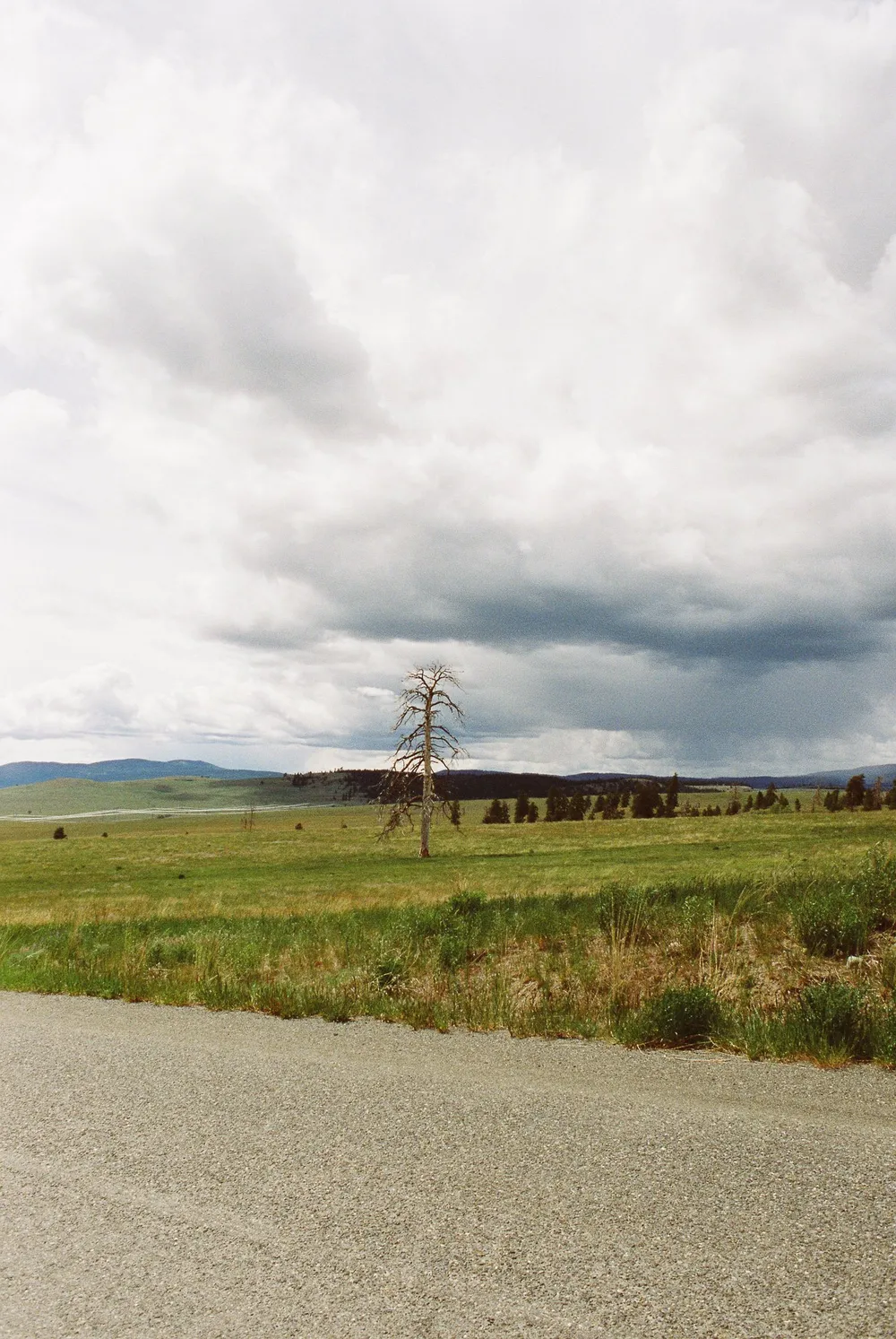 BC Grasslands: frame 17