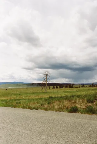 BC Grasslands: frame 17