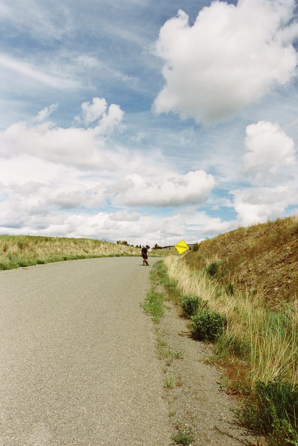 BC Grasslands: frame 18