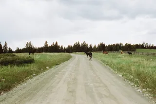 BC Grasslands: frame 23