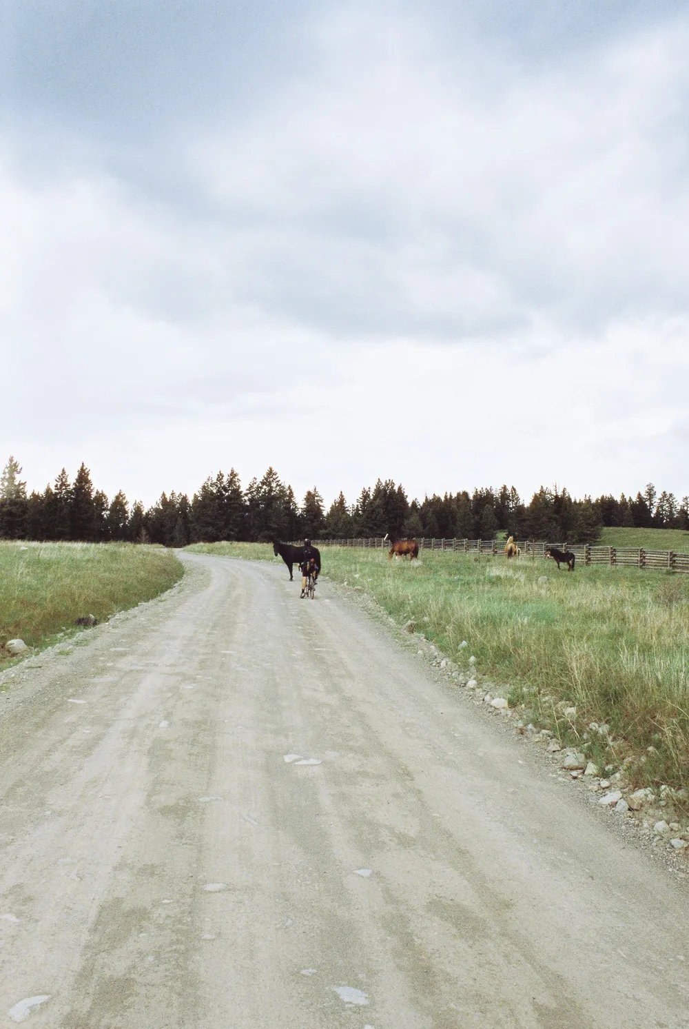 BC Grasslands: frame 24