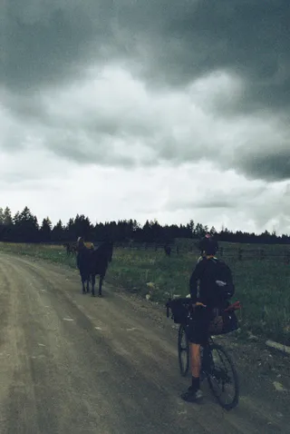 BC Grasslands: frame 25
