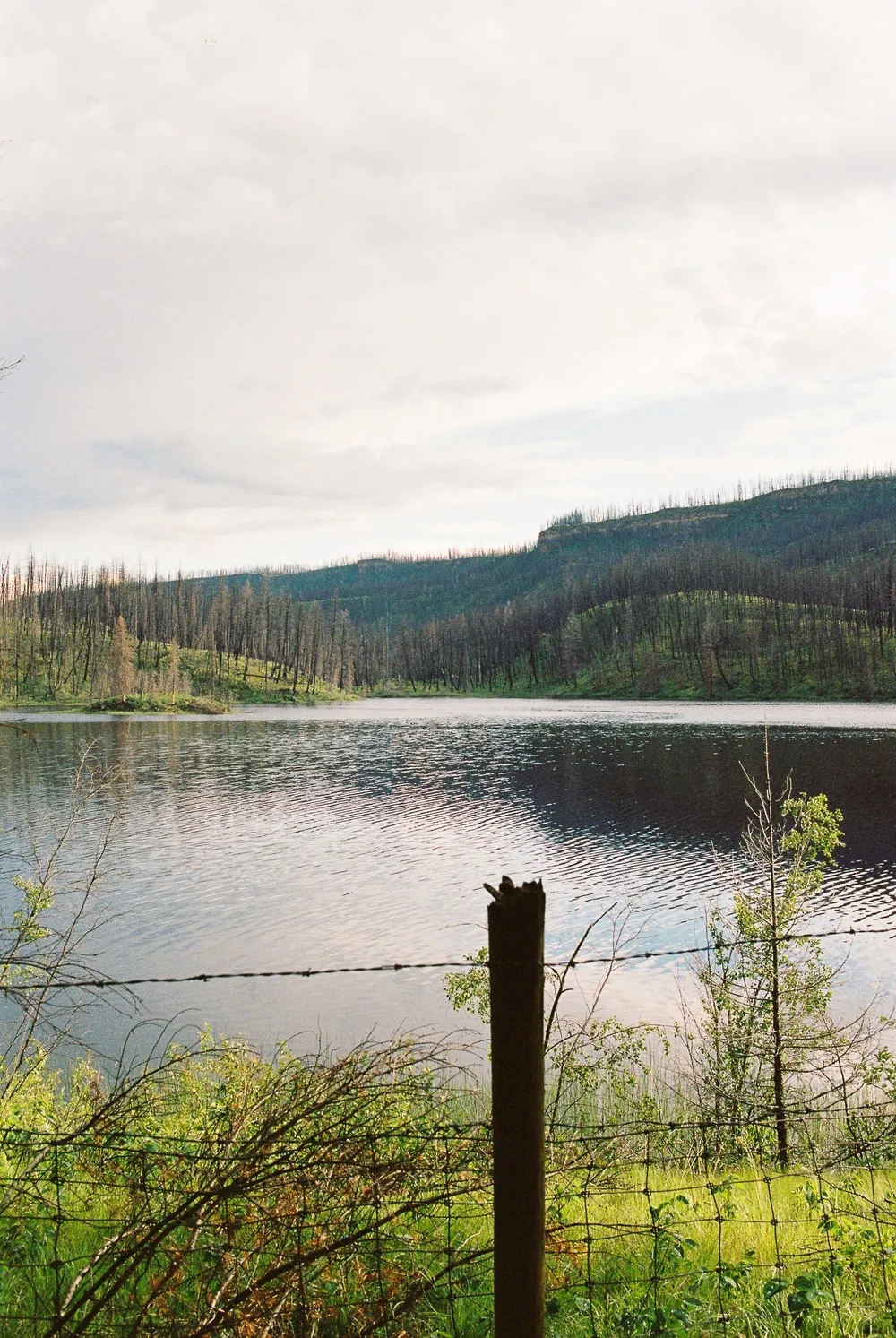 Lac du Bois: frame 29
