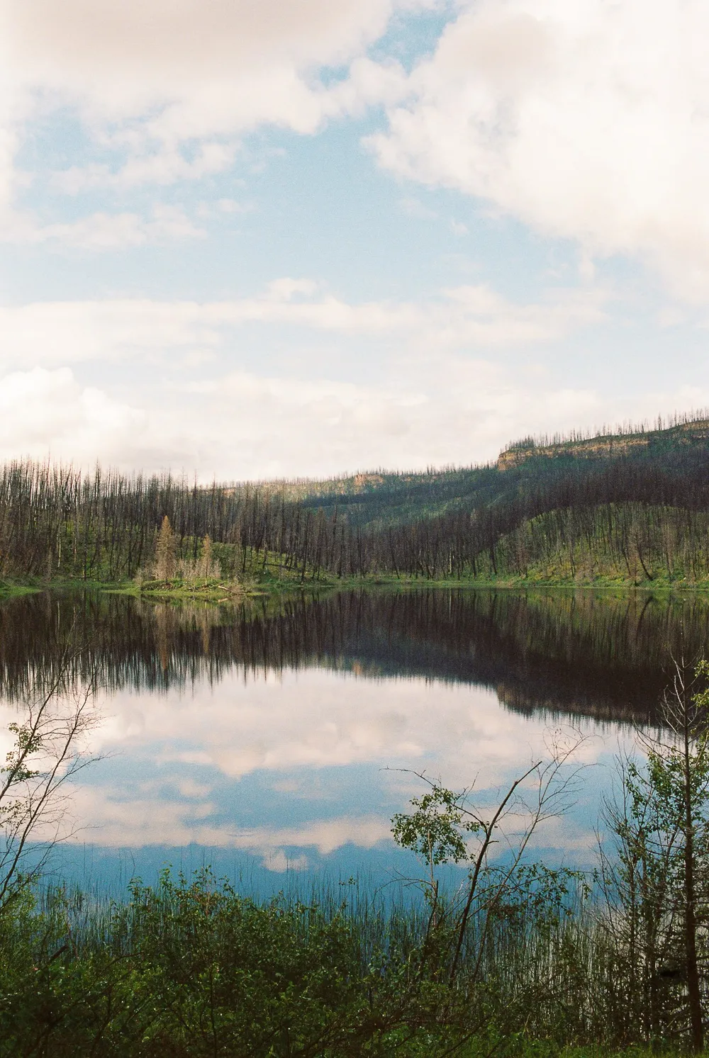 Lac du Bois: frame 37