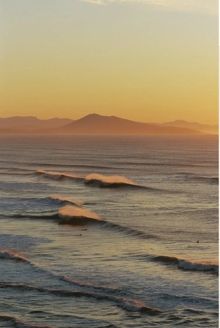 Golden waves at sunset